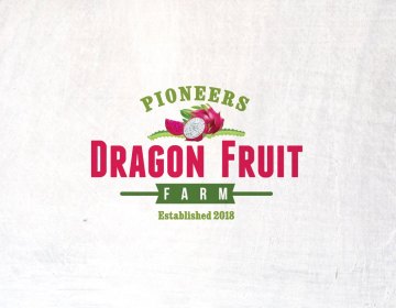 logos