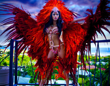 Carnival-Photos-by-Amit-20150803-11
