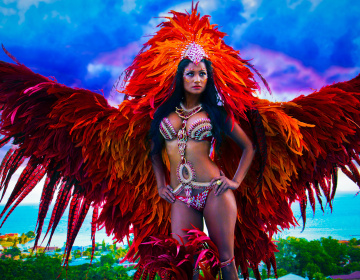 Carnival-Photos-by-Amit-20150803-13